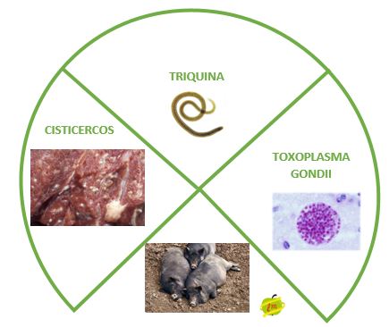 GRÁFICO PELIGROS MATANZA.JPG
