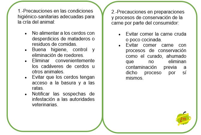 PRECAUCIONES HIGIENICO-SANITARIAS Y DE PREPARACION CARNE.JPG