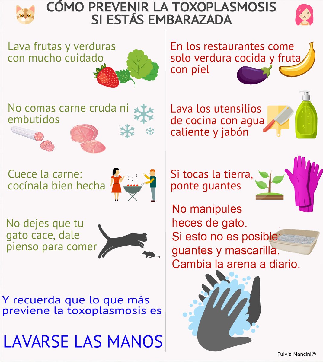 PREVENCION TOXOPLASMOSIS EN EMBARAZADA.jpg