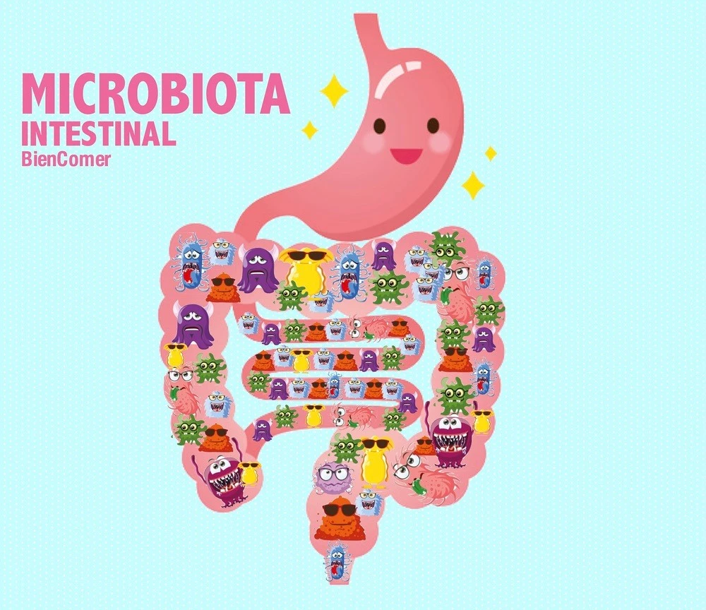 microbiota intestinal