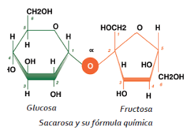 LA SACAROSA Y La MALABSORCIÓN DE FRUCTOSA